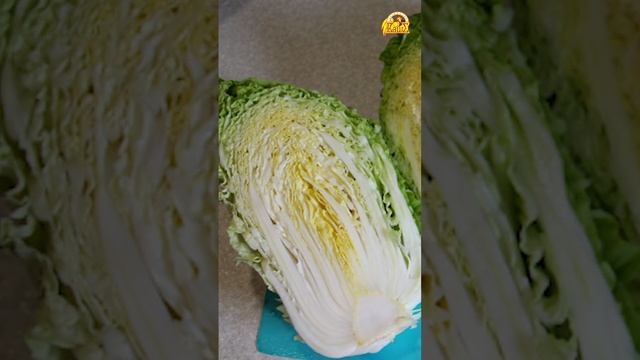 Пекинская капуста Цилиндра