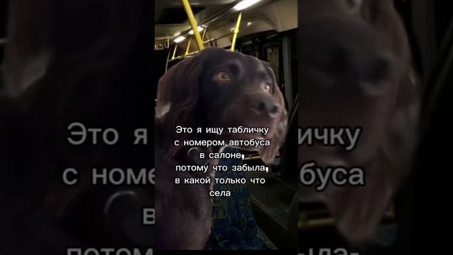 в каком я номере😁😁😄