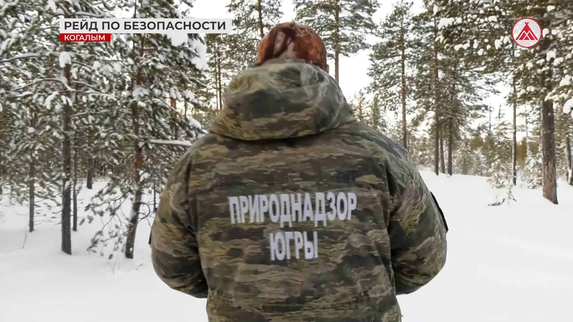 Капканы в Когалыме. Охота на собак должна прекратиться!