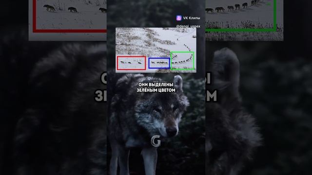 1000004043.mp4