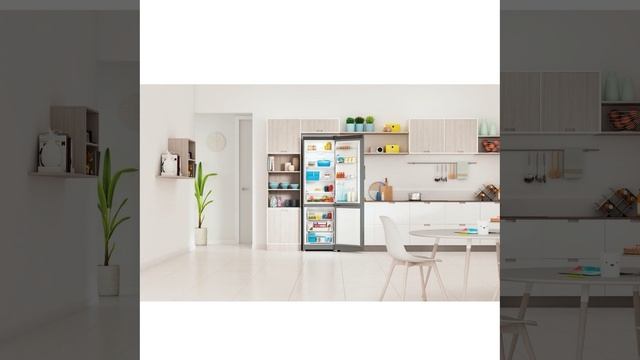 Холодильник Indesit ITS 5200G - краткий обзор