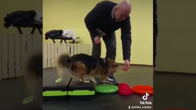 Малышка на занятиях.