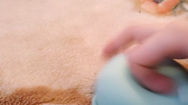 что мне дедушка мороз подарил