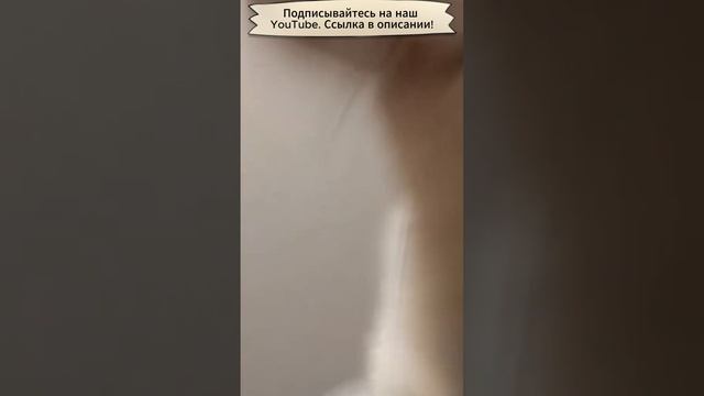Сборка юмора
