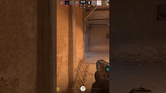 Zeus24121904