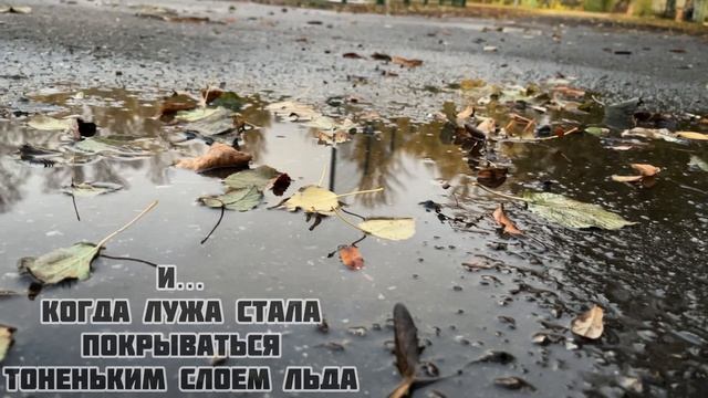 Буктрейлер. Фархутдинова Регина "Три поросенка". Конкурс буктрейлеров "Книжный маяк Ульяновска"