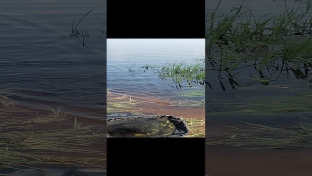 VID_20230526_165855