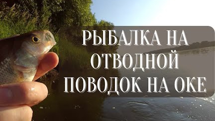 Рыбалка на отводной поводок на Оке.mp4
