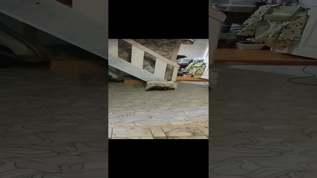 Вайлдберриз 🤣🤣🤣🤣🤣🤣