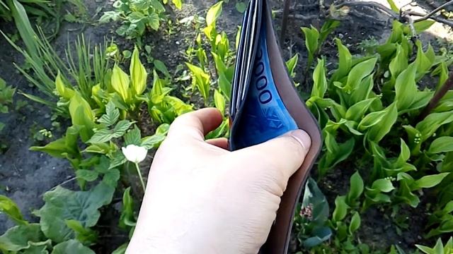 Кошелек ручной работы. Мужской кошелек из кожи.