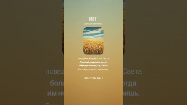 Поля.  (1)