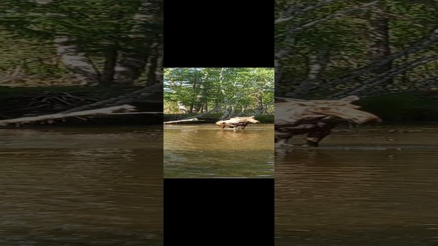 19-12-2024такая рыбалка