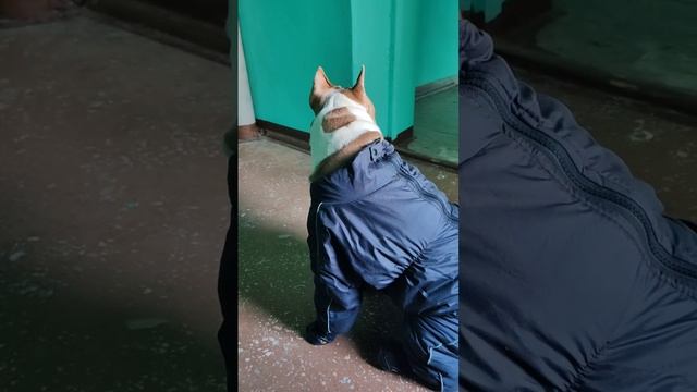 Ждём маму)