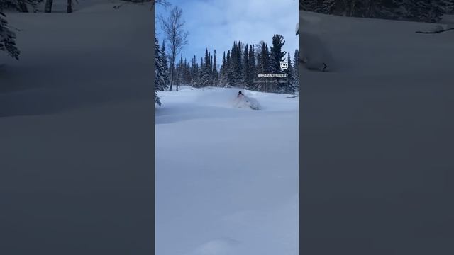 Каждый охотится за таким пухлым. #polaris #insta360 #приисковое #ажур #хакасия #klim #snowmobile