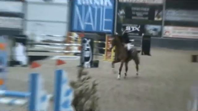 zarino
