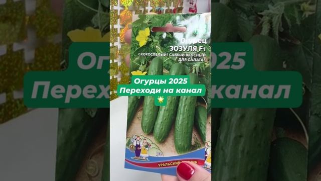 Огурцы 2025🥒Какие я буду сажать