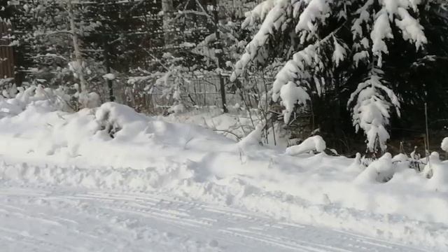 мотобуксировщик полярник 15
