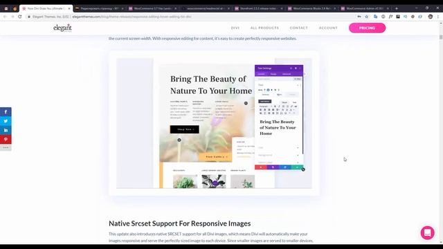 WP digest. Август 2019. Что было нового?