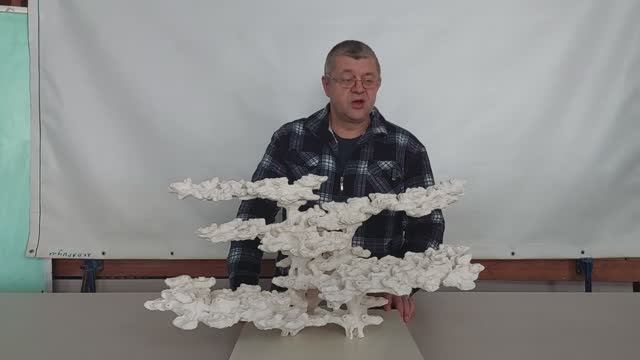 ДФ-343 Декорация для морского аквариума из биокерамики.