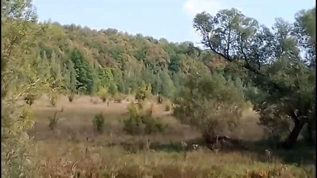 поездка на рыбалку