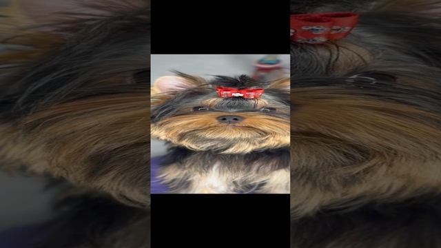 19-12-2024