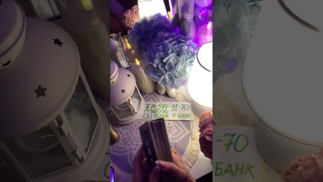 Koshka taro в прямом эфире!