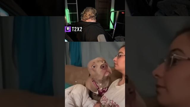 T2x2 Стал Квадробером 🐕✨ - #t2x2 #т2х2 #twitch #shorts #юмор #история #реакция #квадробер