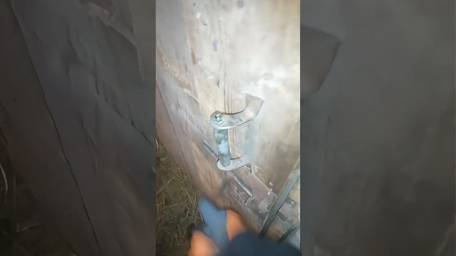 Смирнов тюрьма