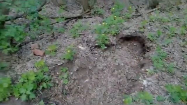 Заброшенное место, где когда-то были старая церковь и школа
