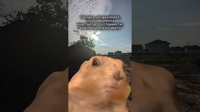 Случился шок! Как сэкономить на покупке земли: https://vk.cc/cxZ2Ly