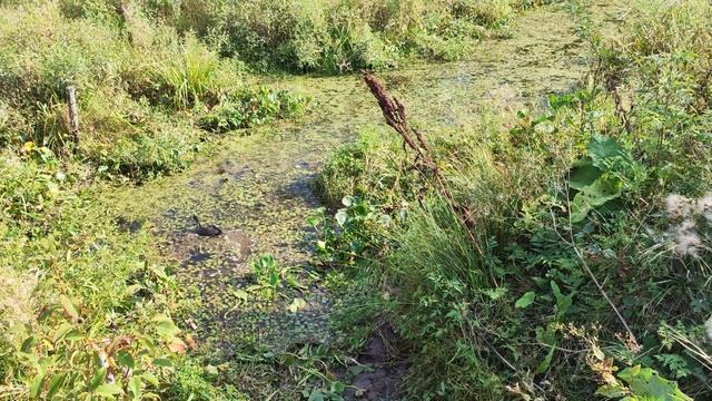 В центре реабилитации появился "стоунхендж" - летний архив