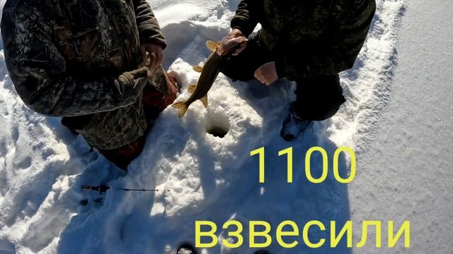 Был на рыбалке 23 февраля 2023/ Сам ничего не поймал/ остался доволен процессом / рыбалка на щуку.