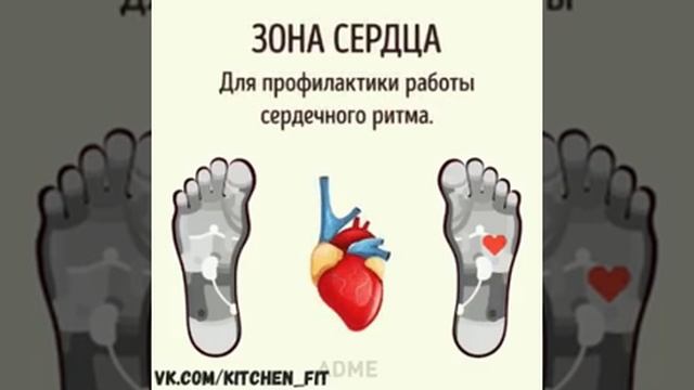 13 февраля 2024 г.