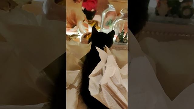 И кто это такой тут?