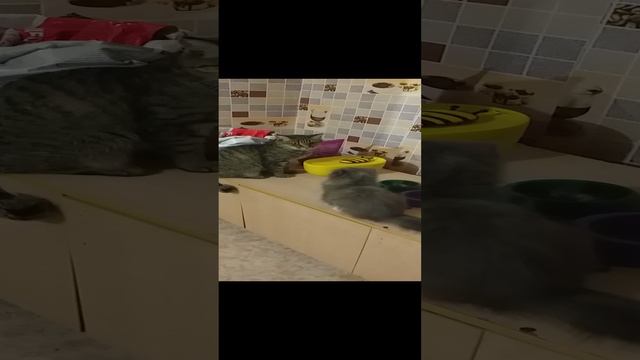 20240813_184403.mp4