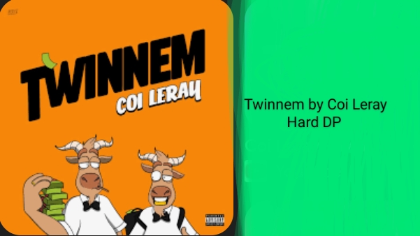 Beatstar Twinnem by Coi Leray Hard DP