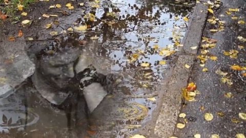 БАТЯ,Я НЕ ПЛАЧУ- ЭТО ДОЖДЬ ИДЕТ... Исп.ВИТАЛИЙ КОТИЦ,