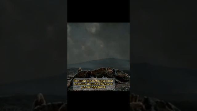 Астероидная зима