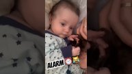 Каждое утро начинается так #morning #2023shorts#keşfetteyiz#sabah#keşfetedüş#ailem#world#alarm