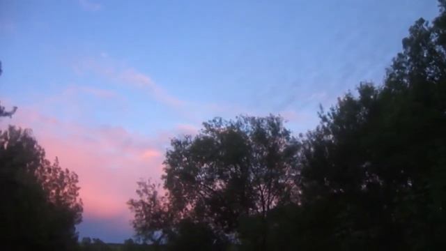 Всероссийская перепись соловьёв 2016