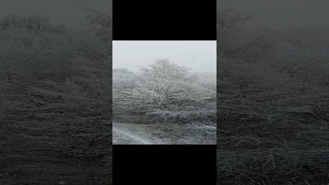1000040276.mp4