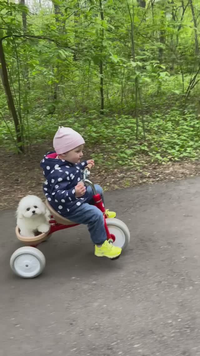 Велопрогулка🚲🚴♀️🐶
