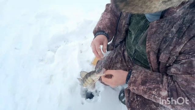 Зимняя рыбалка на р.Кама РТ с Олегом и Сергеем в легендарном месте.