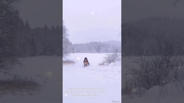 Любовь Отца!