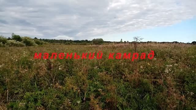 Маленький Камрад