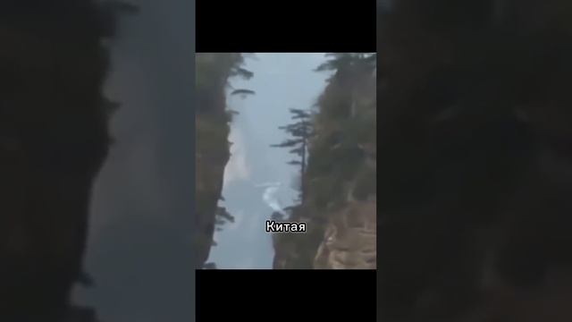 существуют ли драконы на самом деле?