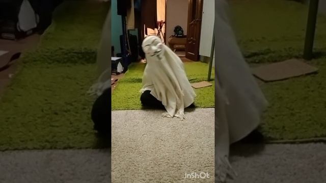 редкие снюсоеды 3