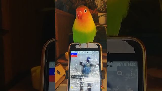 Snapchat-1036239593.mp4