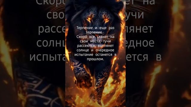 Правда