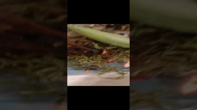1000000419.mp4